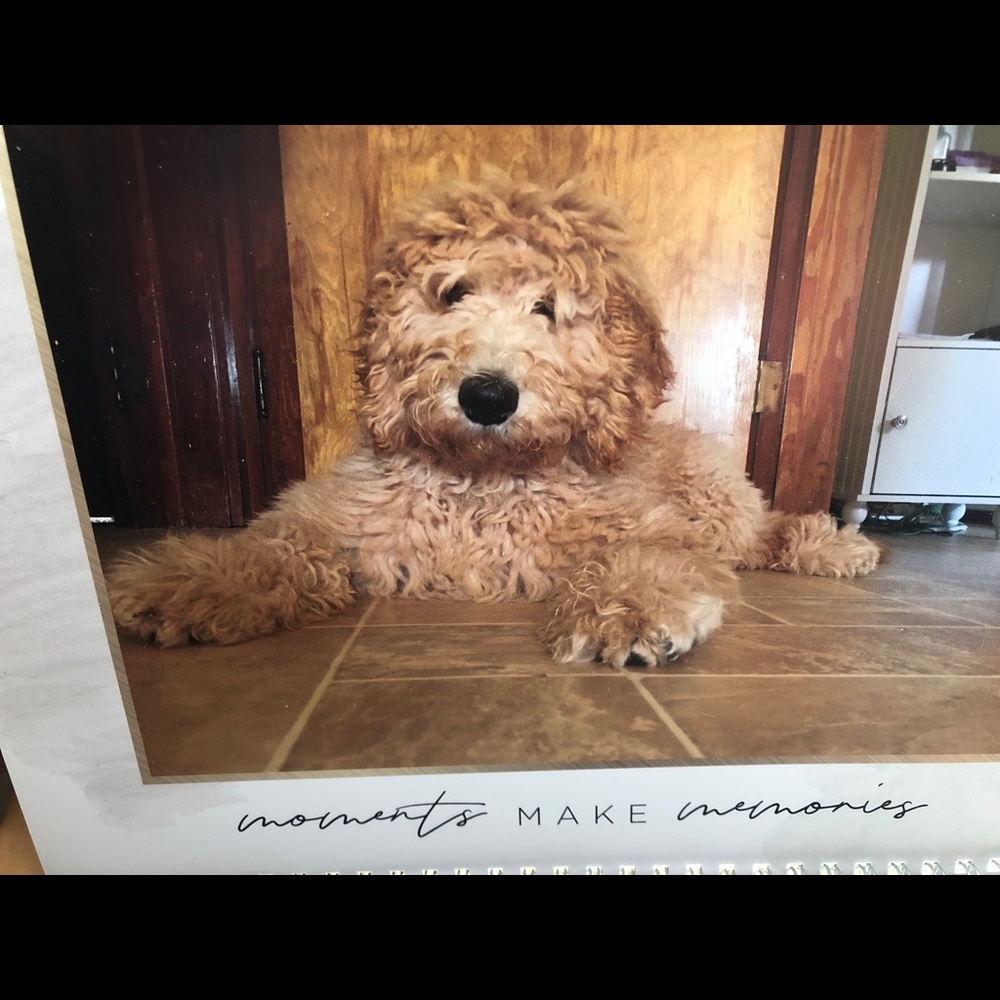 Meet your Posher, Patty